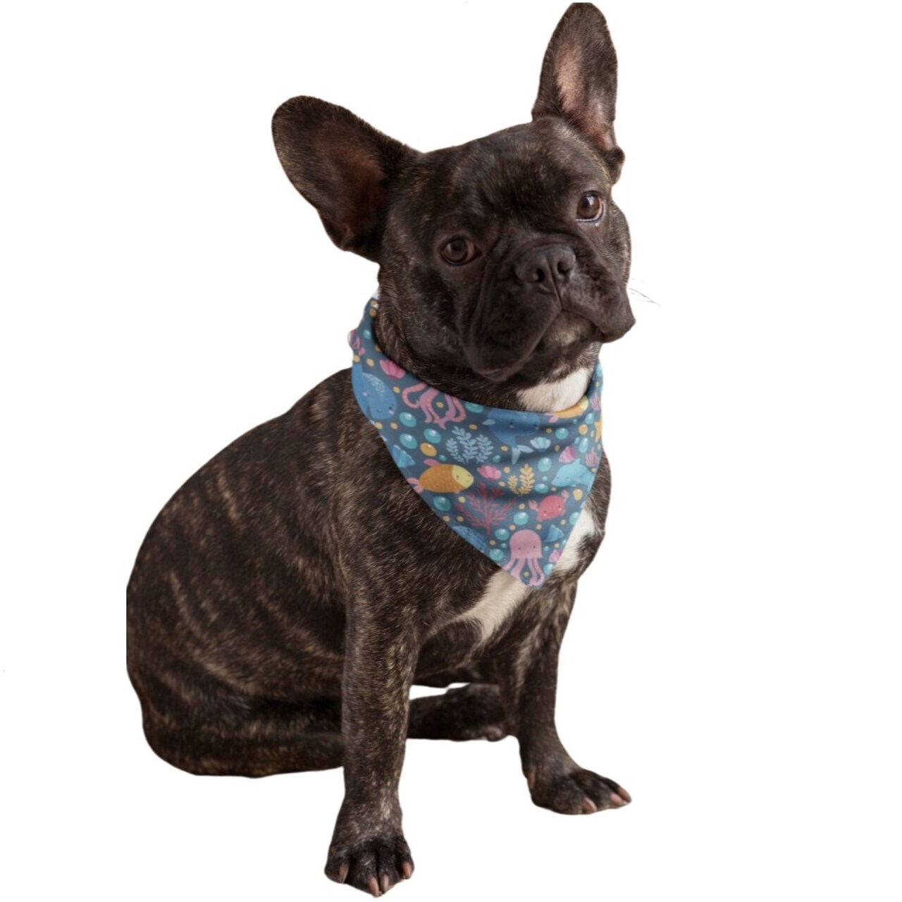 Mechaly Cotton Funny Dog Bandana with Designs Durable Birthday Pet Scarf